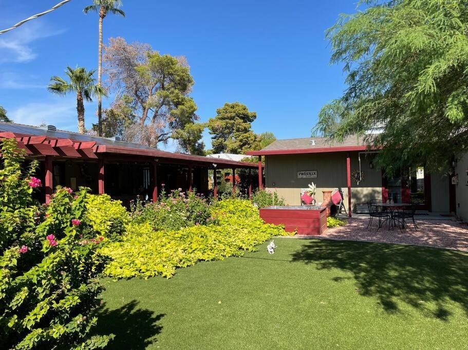 Encanto Cactus Flower Casita Phoenix Exteriör bild
