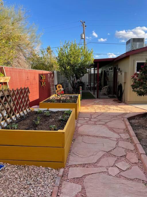 Encanto Cactus Flower Casita Phoenix Exteriör bild